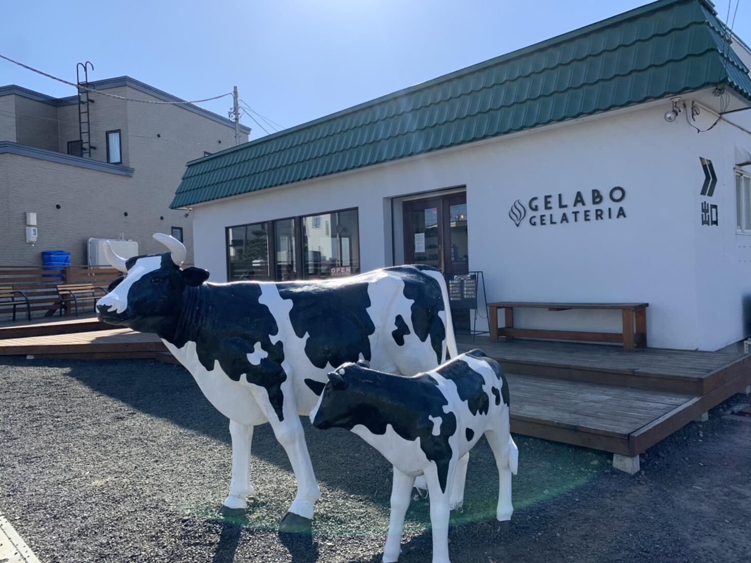 GELATERIA　GELABO(その他飲食（ファミレスなど）)まで489m ヴィザージュ福住２