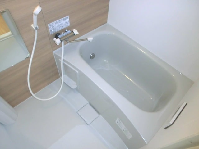  フォルトゥーナ