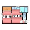 メゾンプレアデス 1DKの間取り