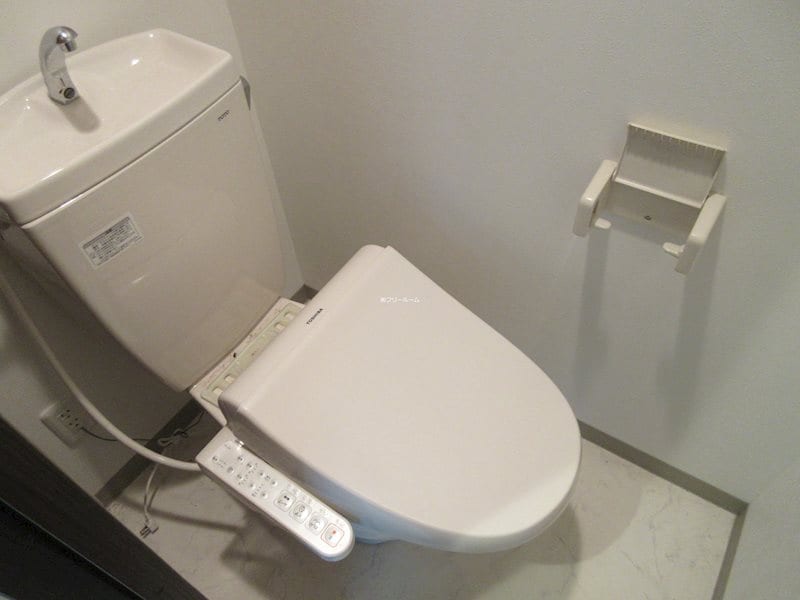  プラティーヌ月寒東