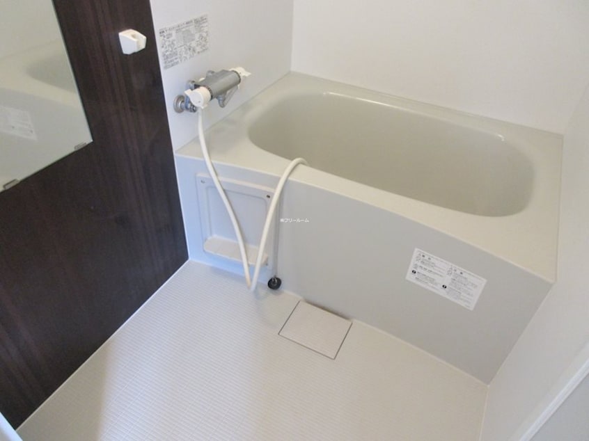  プラティーヌ月寒東