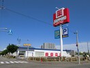 サッポロドラッグストアー(ドラッグストア)まで507m プルミエ福住