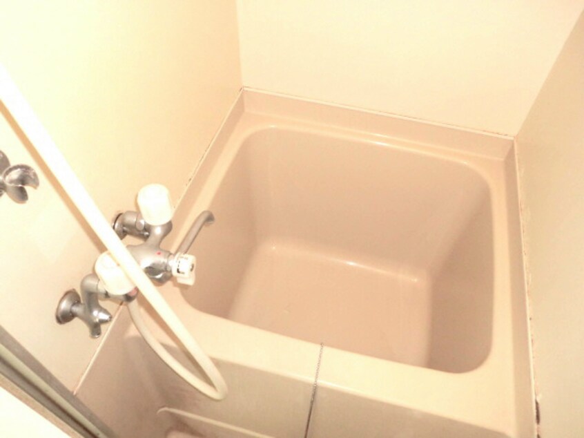  チェリーテラス