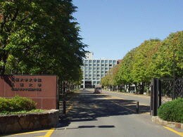 札幌大学図書館(図書館)まで690m チェリーテラス