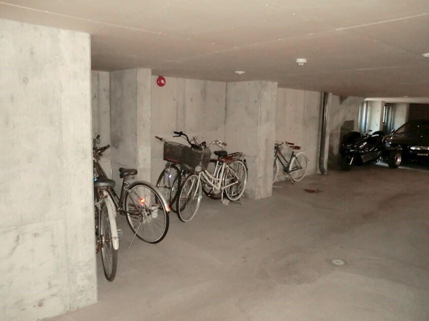  メリードーム月寒