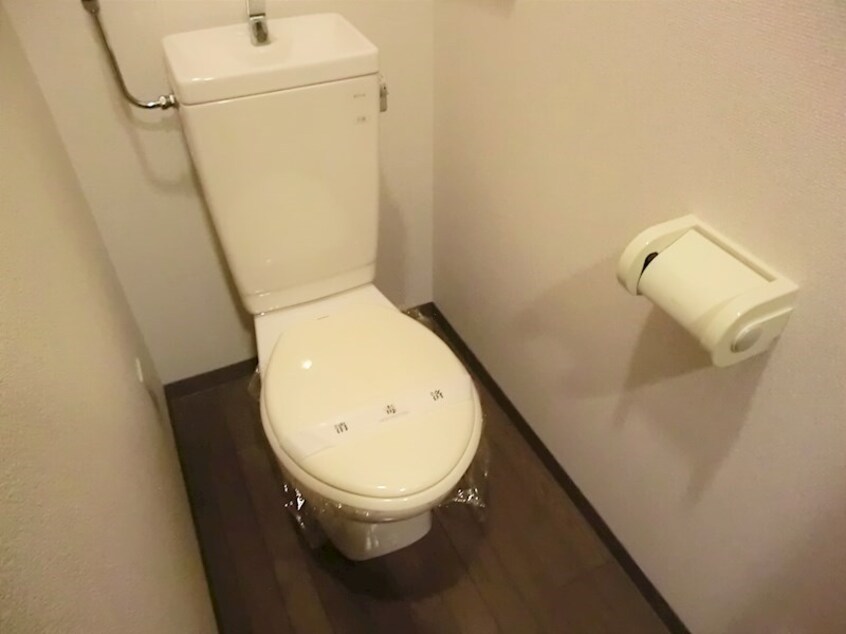  セントポーリアクレア
