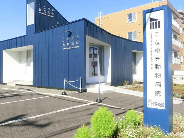 こなゆき動物病院(病院)まで315m リバーヴィレッジ第1