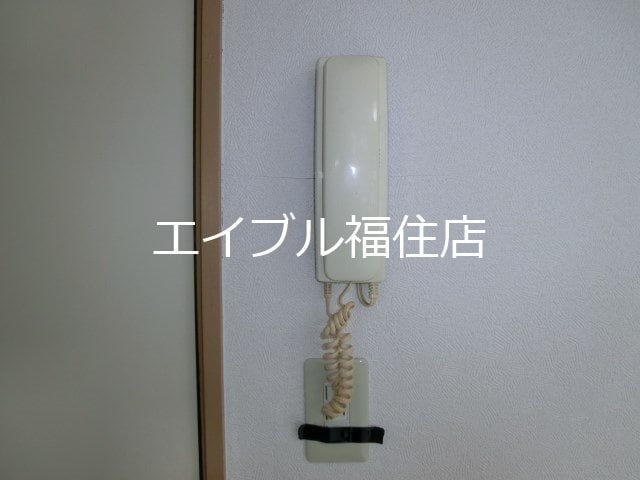  キャロルII