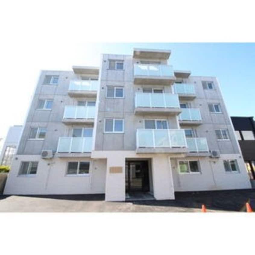  Tela bianca月寒中央