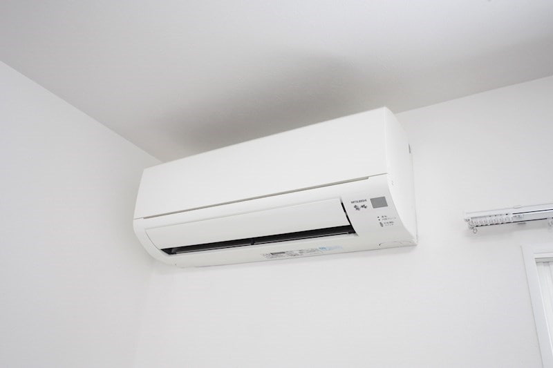  カトレア月寒東6