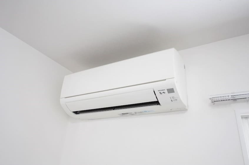  カトレア月寒東6