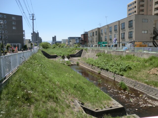 望月寒川まで78m コムズ月寒中央Ｃ