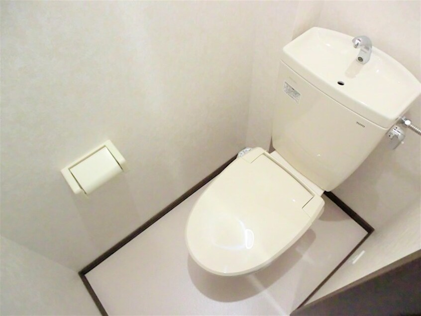  ケープ　コッド