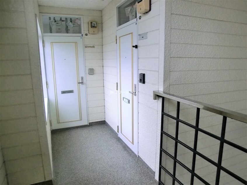  マイコール札幌