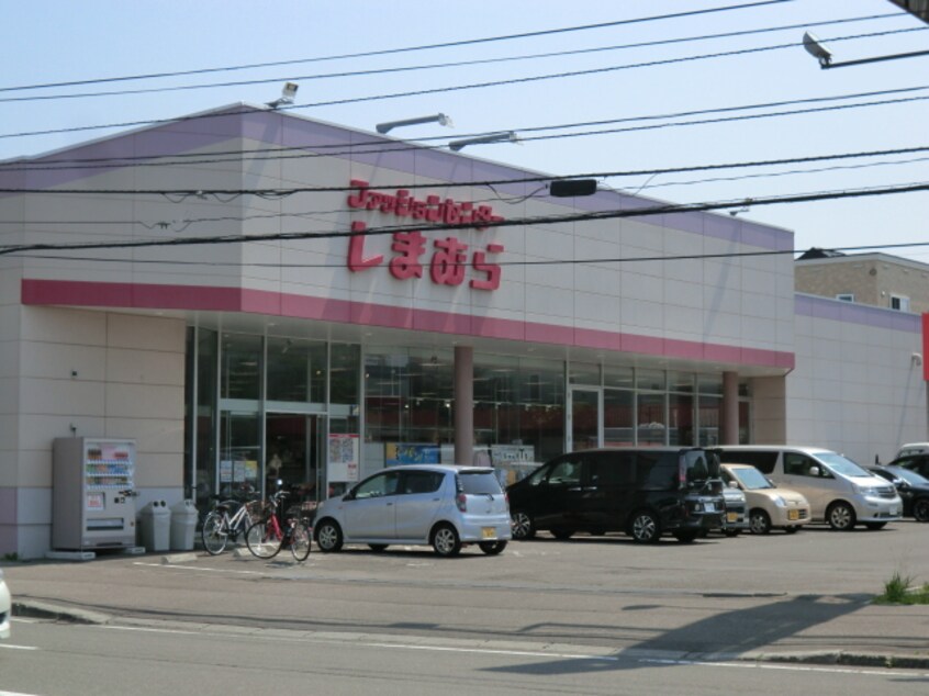 しまむら(ショッピングセンター/アウトレットモール)まで556m 豊田邸テラスハウス