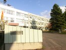 札幌市立月寒小学校(小学校)まで504m ノルデスタパークムーン