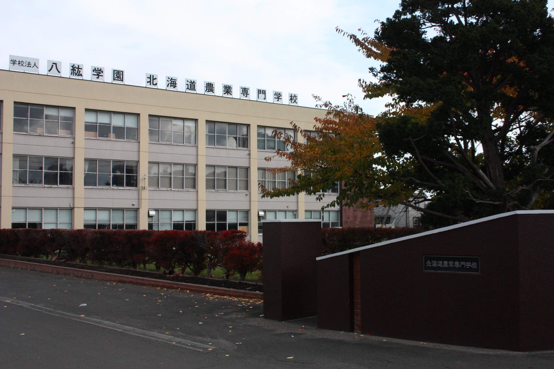 八紘学園(大学/短大/専門学校)まで475m ロピア月寒
