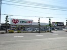 くすりのレデイ鳴門店(ドラッグストア)まで499m 桑田園