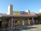 ゲオ鳴門店(ビデオ/DVD)まで2704m ハイツモントーネ