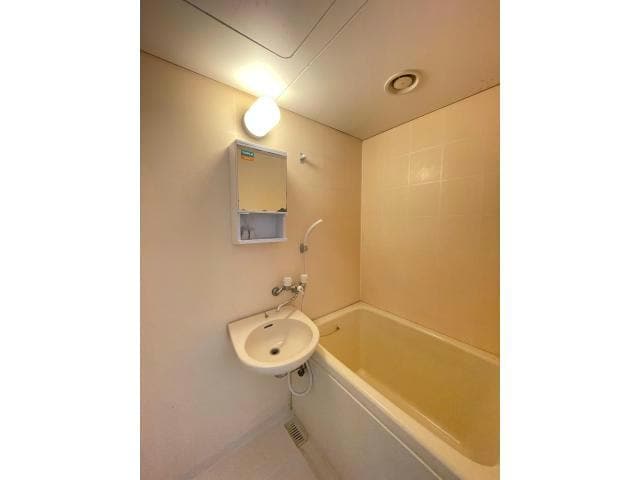 同タイプ（イメージ） サンタウンⅠ