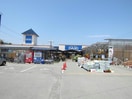 DCMダイキ鳴門店(電気量販店/ホームセンター)まで3804m レジデンス青山