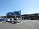 ホームプラザナフコ鳴門店(電気量販店/ホームセンター)まで815m パークハイツ