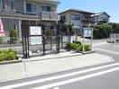  エピーメロンＢ