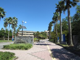 大学