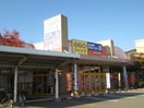 ゲオ鳴門店(ビデオ/DVD)まで1364m ハイツプリムラ