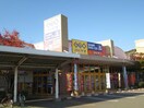 ゲオ鳴門店(ビデオ/DVD)まで1907m 村上一戸建て