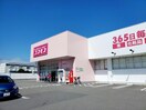 ディスカウントドラッグコスモス府中店(ドラッグストア)まで3247m グランヴェール名東