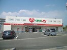 くすりのレデイ新浜店(ドラッグストア)まで2365m アネックス22