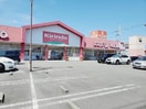 キリン堂田宮店(ドラッグストア)まで519m サンステージ上助任
