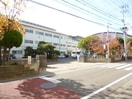 徳島市立八万小学校(小学校)まで855m スカイハイツⅢ