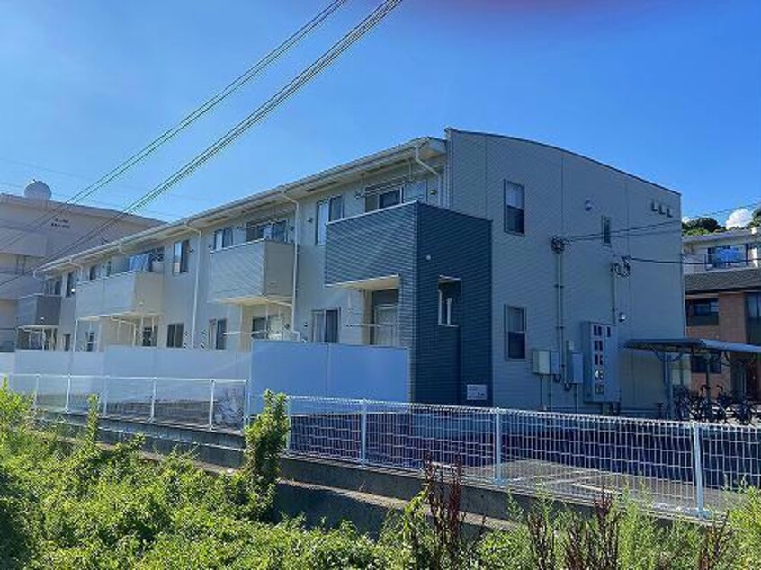  プリムローズ　Ａ