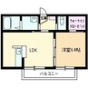メルカート　E棟 1LDKの間取り