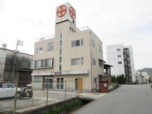 マルジュウビル