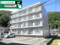 サンフォーレ向井