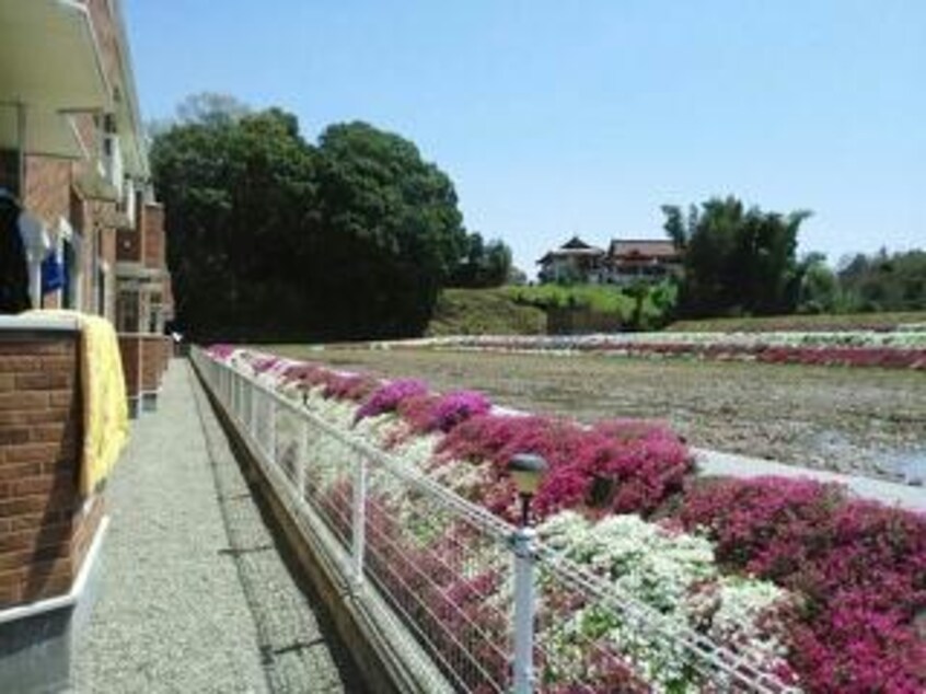  エスポワールⅢ号館