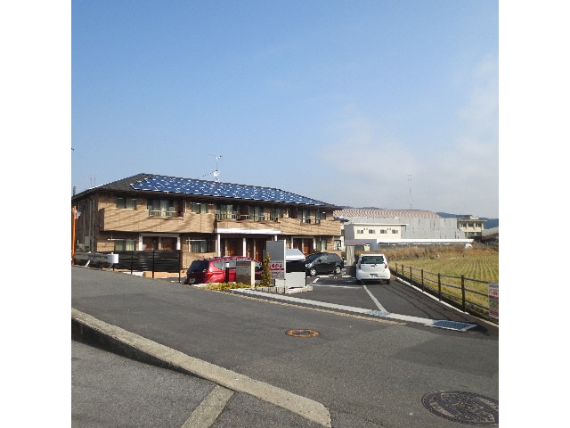  ピュア