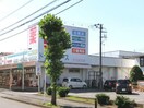 ドラッグ・エースすねおり店(ドラッグストア)まで384m シティホームズ脚折１８