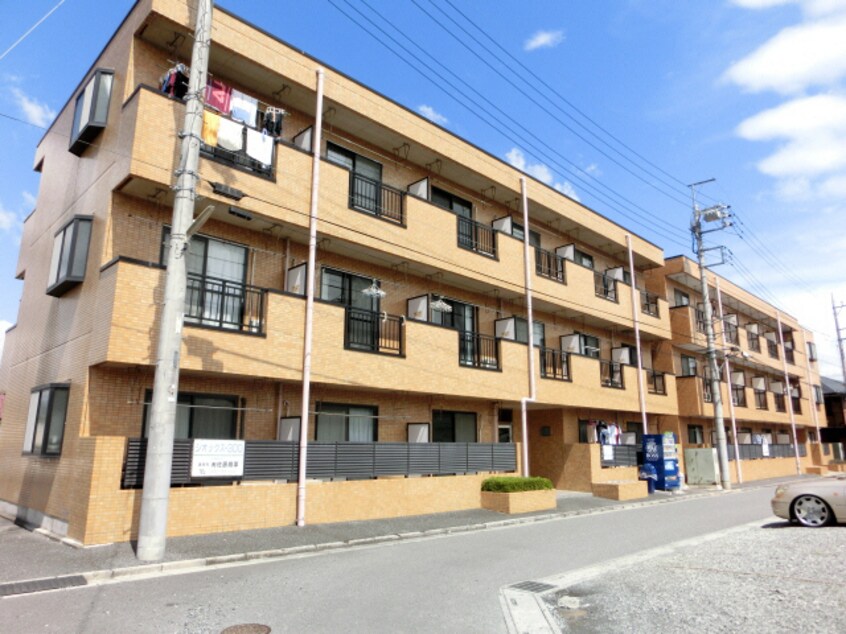  ジオックス５００