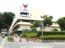 コモディイイダ鶴ヶ島店(スーパー)まで658m シティパレス上広谷1