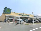 マミーマート坂戸入西店(スーパー)まで1328m サンフォーリストⅢ