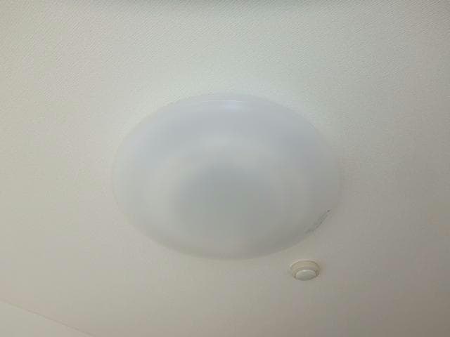  ガーデンセルリア