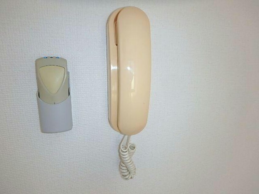  ガーデンセルリア