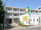  ラフィーエ
