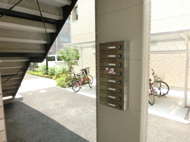  グレーシア