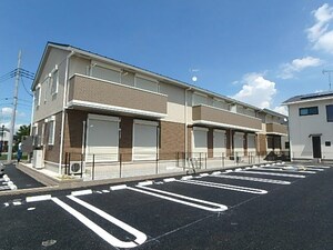 サニーヒルイシイ