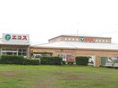 エコス上広谷店(スーパー)まで505m ルネス　エスポワール